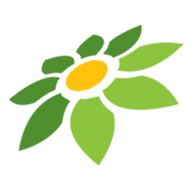 LINK WSLOT